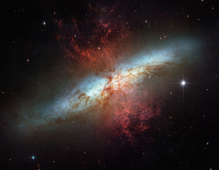Circumgalactic dust